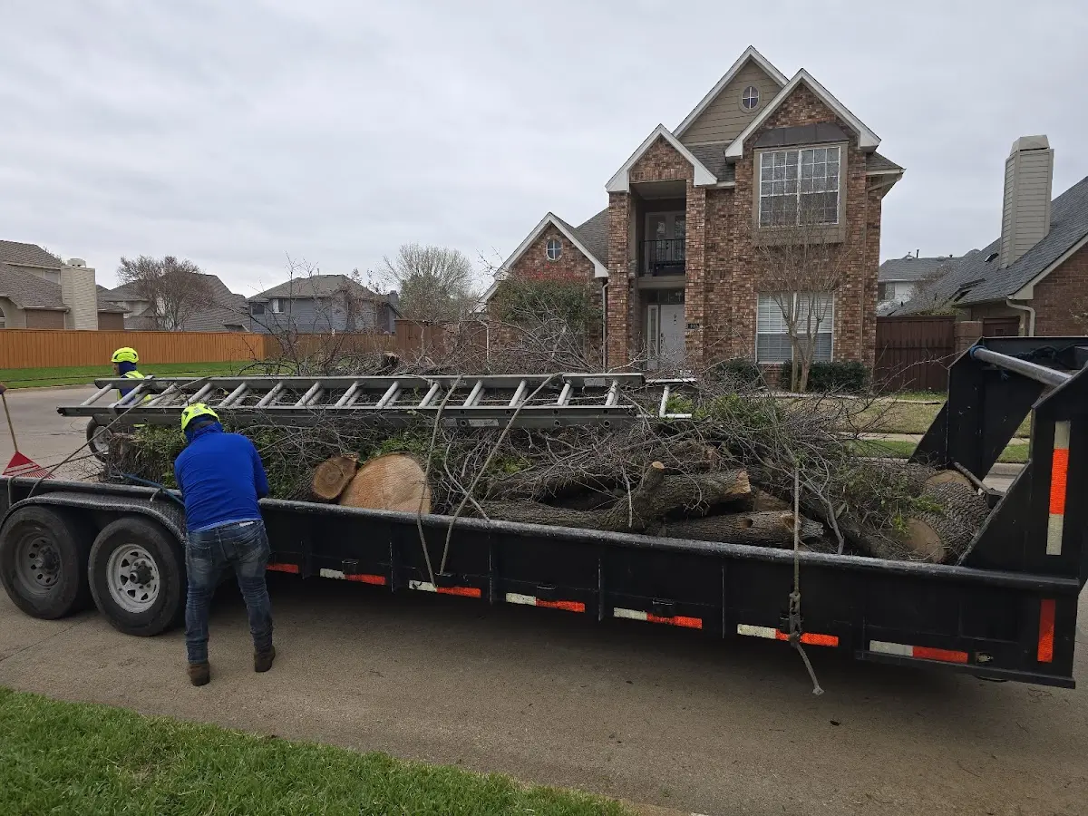 Expert Tree Fertilization with proper safety equipment in Adrian